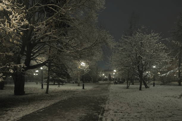 Warm streetlights illuminate a quiet snowy path during a dark winter night