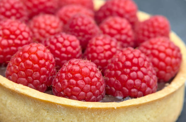 istock raspberry chocolate tart (beautiful fresh fruit berry dark cocoa sauce cake) red berries sweet cafe served with fork on slate slab restaurant coffee shop 2191190286