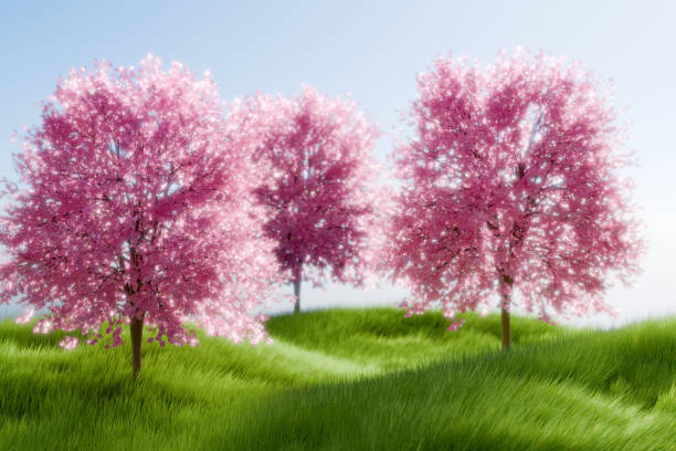 istock Beautiful cherry blossom trees in bloom on a sunny day, symbolizing spring and renewal. 3d rendering 2191192509