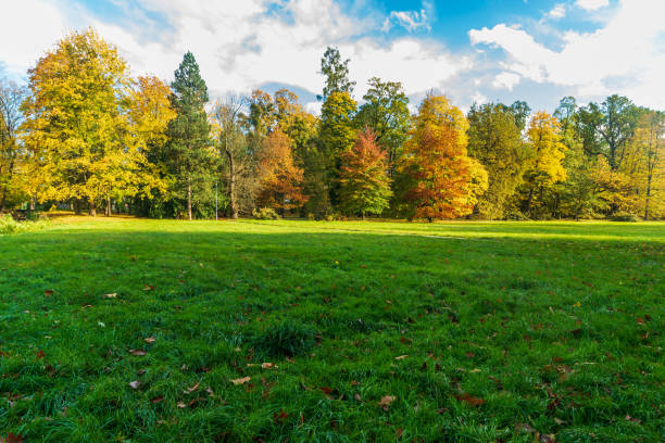 Autumn public park with meadow, colorful trees and blue sky with clouds - Park Bozeny Nemcove in Karvina city in Czech republic