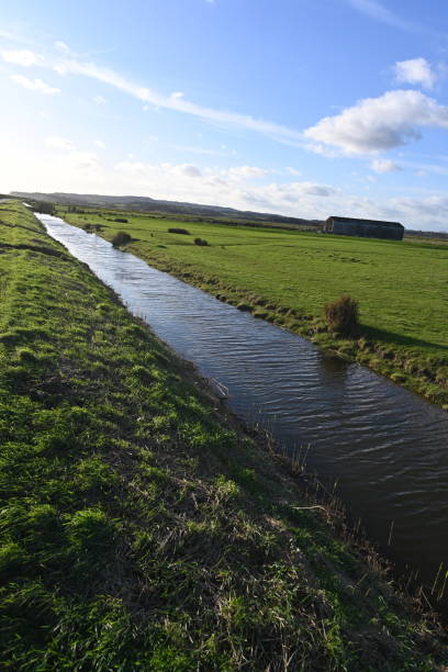 istock vibrant fresh green grass divided by water 2191195575