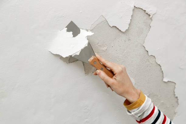 istock Saltpeter or mold on the wall problem. Woman is using a scraper to scrape and remove all loose paint and plaster that is in poor condition, until a firm surface is achieved. 2191195719