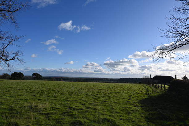 agricultural green fields