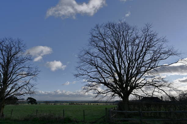 A cloudy autumn morning settles over the Northern Ireland countryside