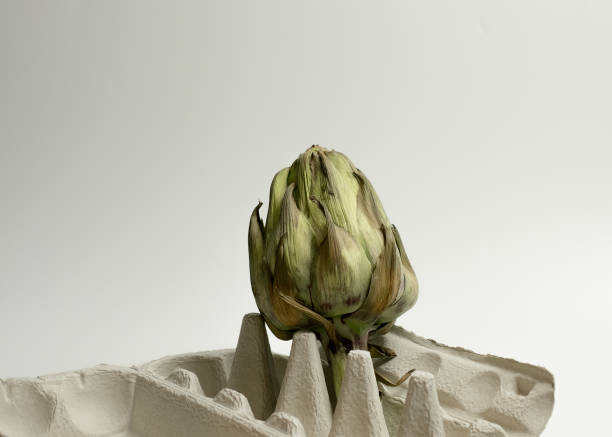 Artichoke in an egg carton