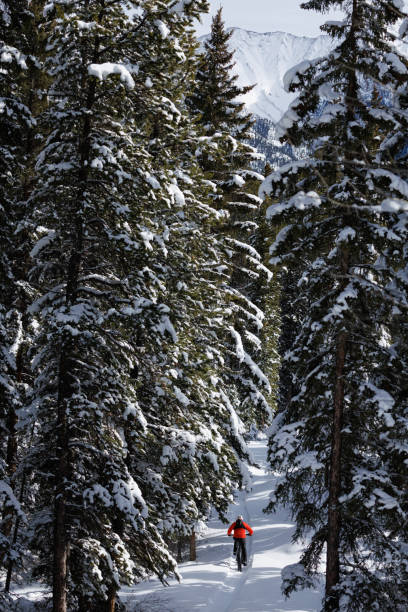 istock Winter Fat Bike Adventure 2191200067