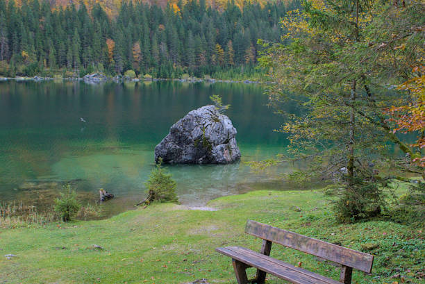 istock A crystal-clear lake reflects the dense pine forest around it. 2191200986