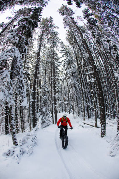istock Canada Winter Fat Bike Adventure 2191201020