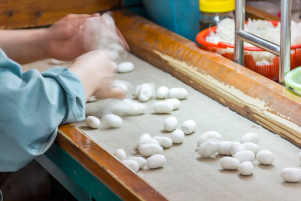 istock Silk cocoons in a line factory in China 2191201227