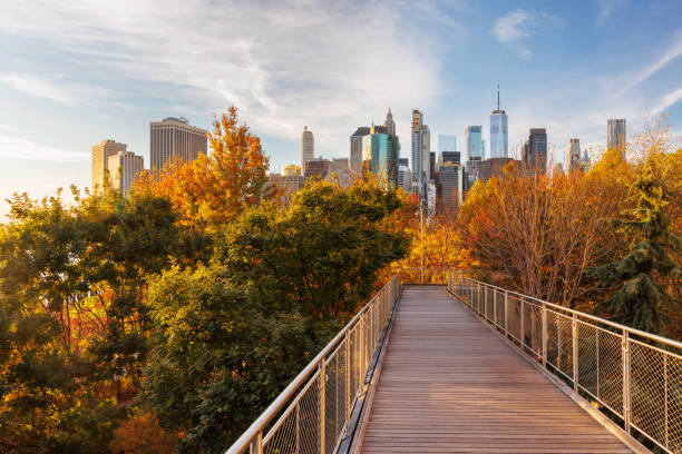 istock The New York Manhattan skyline during autumn 2191201818