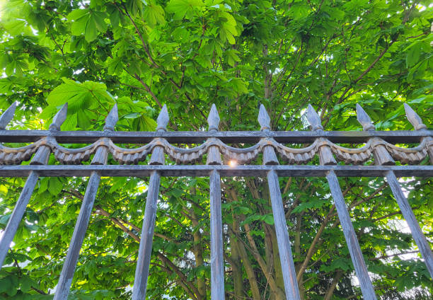 A fence with sharp tips on a background of green chestnut leaves.