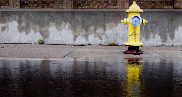 Yellow Fire Hydrant Reflected in Pool of Water Flood