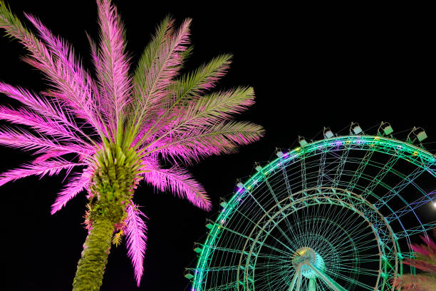 istock Palm Tree Lights with Ferris Wheel at Night 2191202199