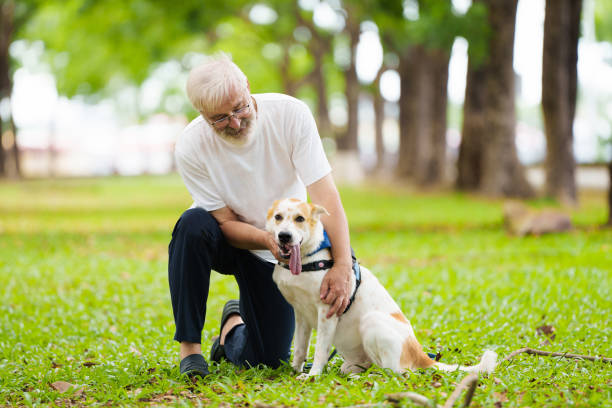 istock Senior man walking his dog. Active retirement. 2191206867