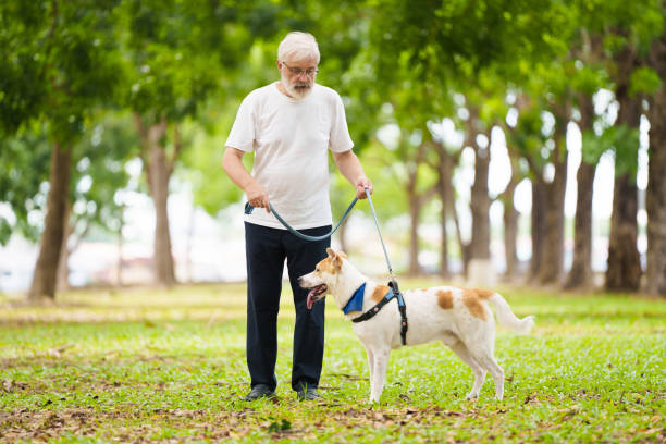 istock Senior man walking his dog. Active retirement. 2191206941
