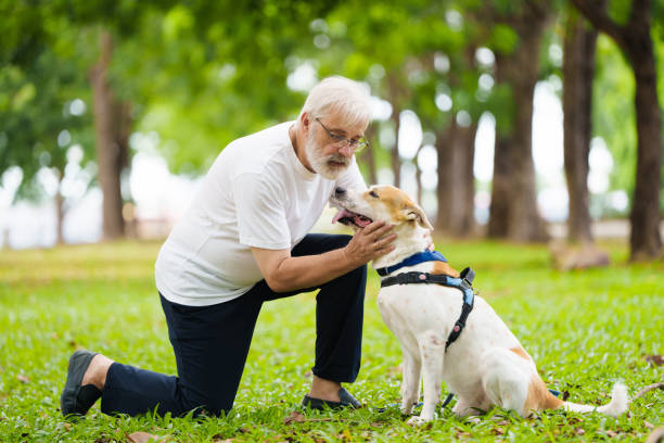 istock Senior man walking his dog. Active retirement. 2191208292