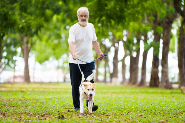 istock Senior man walking his dog. Active retirement. 2191208373