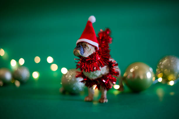 istock Christmas decorated toy dog 2191209689