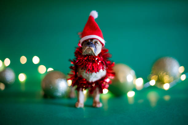 Christmas Decoration