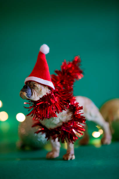 Christmas Decoration