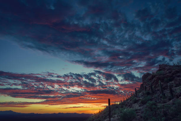 A captivating desert sunset featuring colorful clouds and rugged landscapes. The interplay of light and shadow highlights Saguaro cacti in the foreground against the vibrant evening sky. Perfectly captures nature's beauty.