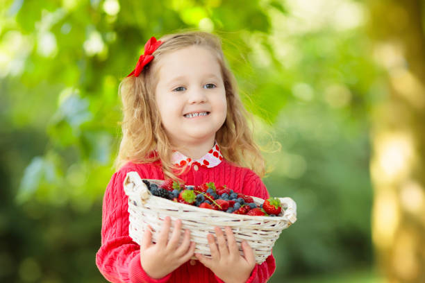 Child picking berries on a farm. Little girl eating strawberry, raspberry, blueberry, blackberry, red and black currant. Kids eat berry. Healthy nutrition for children. Toddler kid with fruit basket.