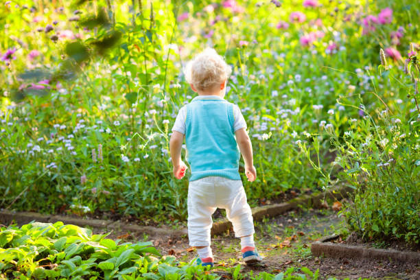 Little boy playing with flowers in the garden. Kids play outdoors in summer. Children gardening. Child planting flower in the backyard. Gardener at work. Kid working with plants.