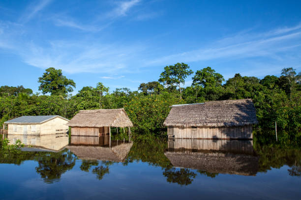 istock Javari river - the natural border between Brazil and Peru. 2191213180
