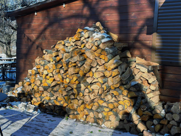 stacked firewood under the house