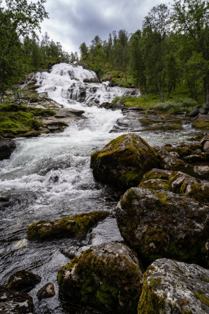 The Vardahaugselvi waterfall in Kvignadal, Norway, flows through mossy rocks surrounded by vibrant greenery in Sogn og Fjordane, a paradise for hiking enthusiasts and nature lovers. Norwegian nature