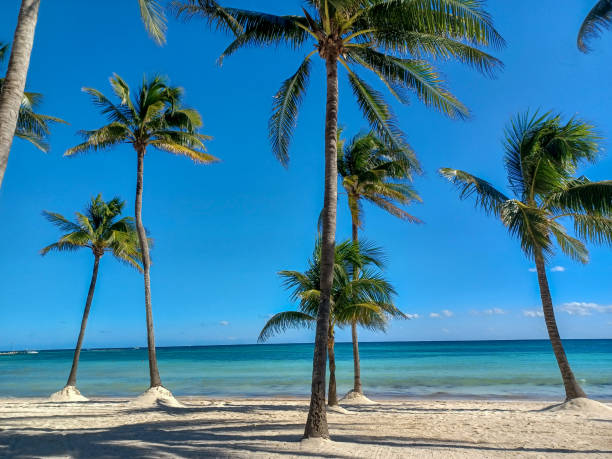 istock Playa del Car beach view 2191216803
