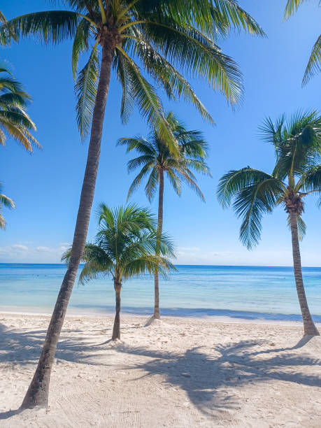 istock Playa del Car beach view 2191216845