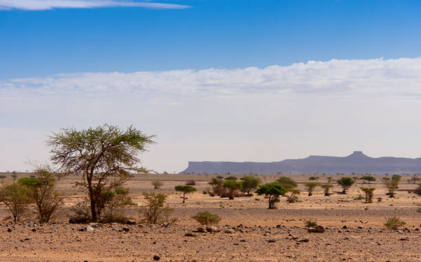 istock architecture of the Moroccan countryside 2191220854