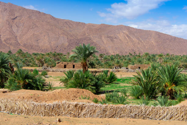 istock architecture of the Moroccan countryside 2191220870