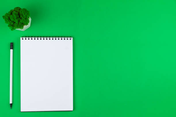 istock A notebook with an even spring at the top with white pages and a white pencil with a gray lead and a black eraser and a green moss flower in a white pot that stands on top of the banknote and pencil lie on a bright green background on the left with space 2191223201
