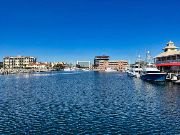 istock Palafox Pier and Marina 2191224533