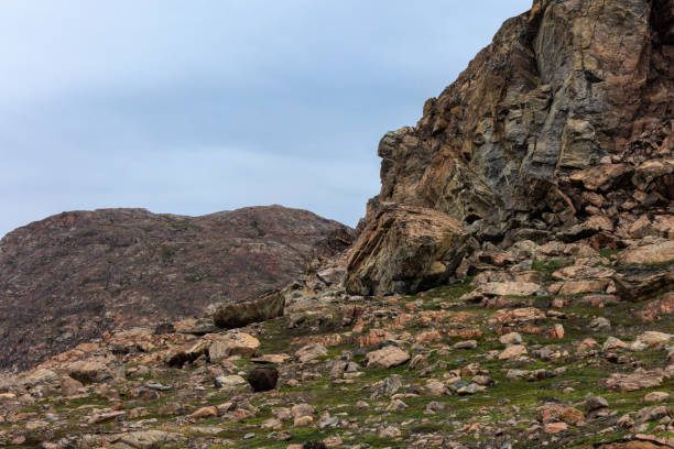 Mountains of Vikingebugt in Greenland