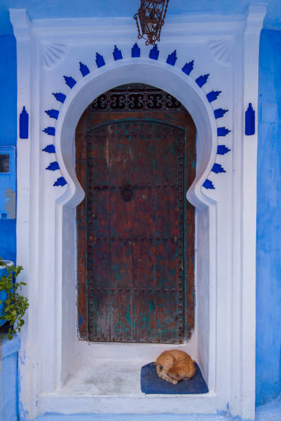 istock wooden door with an arched frame and blue accents, with a cat sleeping on a mat in front, set against a blue wall 2191228162