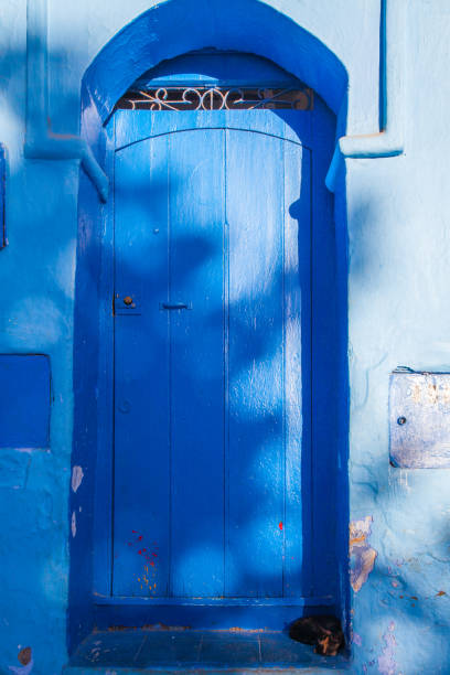 istock blue arched wooden door with decorative ironwork at the top, set within a textured blue wall, with a dark shape (possibly a cat) at the base 2191228987