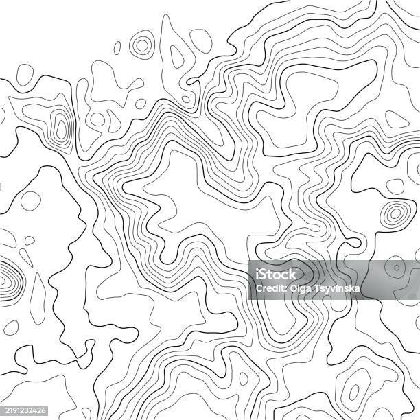 Backgound Map Vector Topographic Map Background Grid Map Abstract Vector Illustration Stock ...