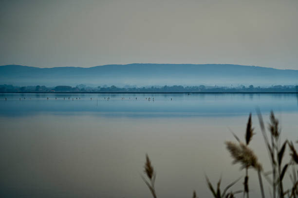 istock quiet and calm ria de Aveiro, Portugal. 2191233433