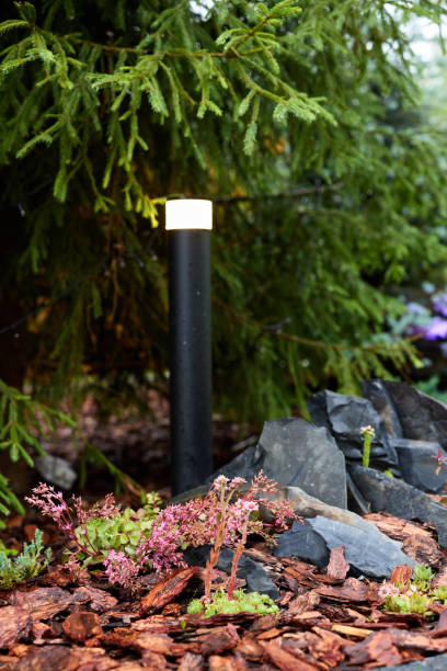 Explore Modern Garden Lighting that Integrates Beautiful Natural Elements for Style and Ambiance