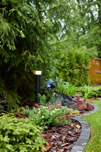 istock A Tranquil Garden Pathway Adorned with Lush Greenery and Inviting Decorative Light Features 2191237938