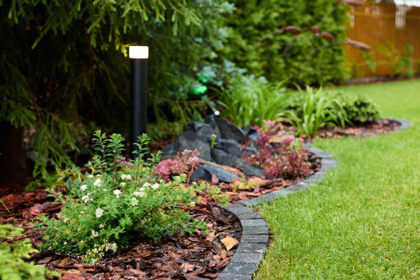 istock Stunningly Beautiful Landscaped Garden Bed Featuring Rocks and Vibrant Plants with Care 2191237962