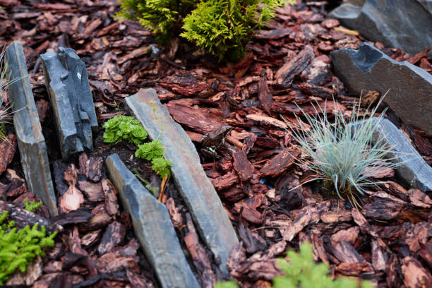 istock A serene garden layout with decorative stones and succulents, promoting relaxation 2191238913