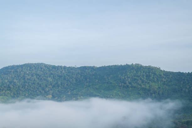 Misty landscape with forest. Foggy clouds above tree. Panoramic mountain in deep countryside at Thailand. nature background