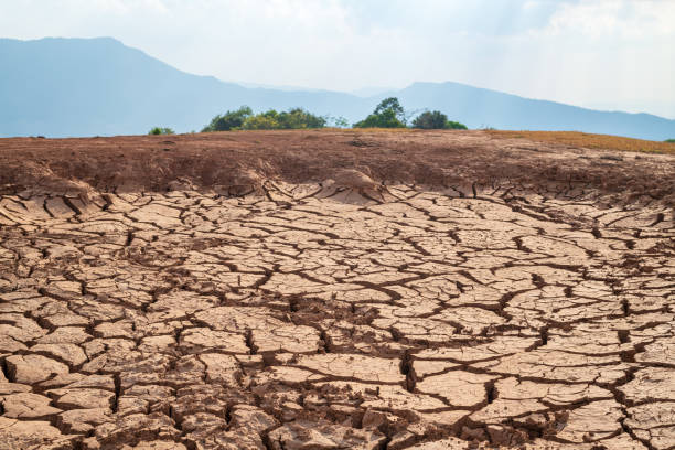 istock Close up of soil drought cracked background 2191239939