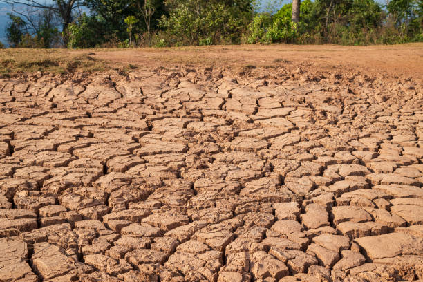 istock Close up of soil drought cracked background 2191240294