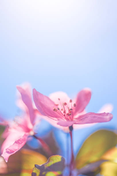 In yokohama