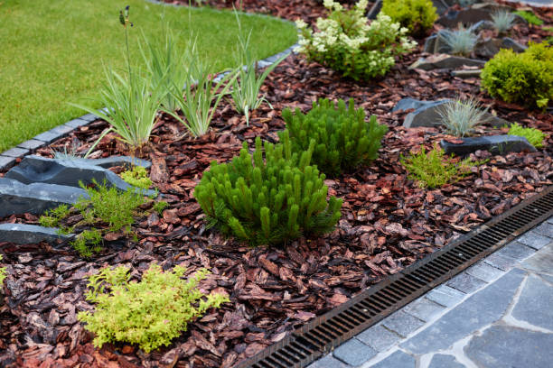 istock Creating Beautiful Landscaping Features with Colorful Mulch and Lush Greenery in Your Yard 2191241199
